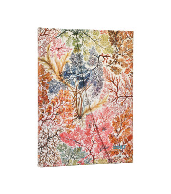 Щотижневик горизонтальний Paperblanks 2027 Анемона / середній