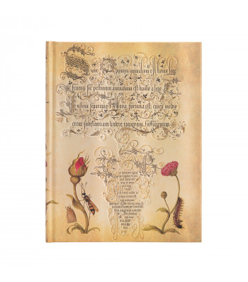 Записник Paperblanks Ботанічні дива – Фламандська роза великий Лінійка