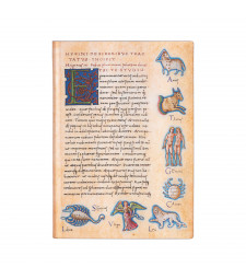 Записник Paperblanks Астрономіка – De Sideribus Tractatus середній Лінійка Flexi