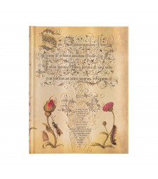 Записник Paperblanks Ботанічні дива – Фламандська роза великий Лінійка